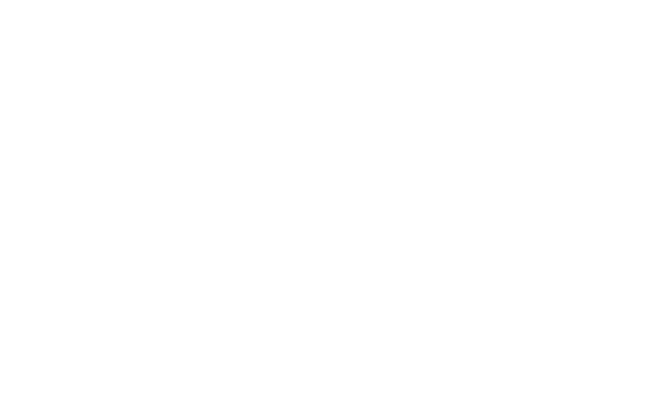 Alternate Text